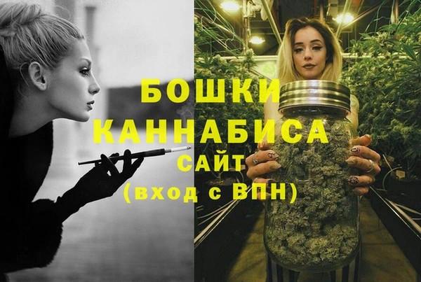 прущие грибы Балахна