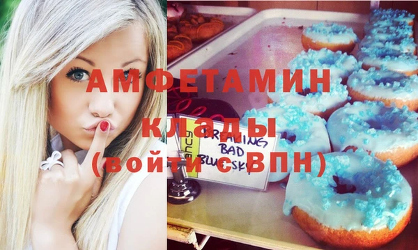 прущие грибы Балахна