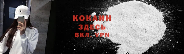 прущие грибы Балахна