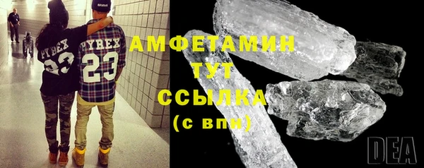 прущие грибы Балахна