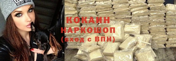 прущие грибы Балахна