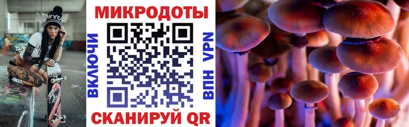 Галлюциногенные грибы прущие грибы  купить наркоту  Спасск-Дальний 
